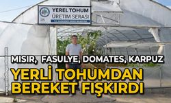 Mısır, Fasulye, Domates, Karpuz: Yerli tohumdan bereket fışkırdı