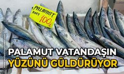 Palamut bolluğu vatandaşın yüzünü güldürüyor