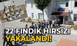 22 fındık hırsızı yakalandı!