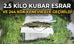 2,5 kilo kubar esrar ve 244 kök kenevir ele geçirildi