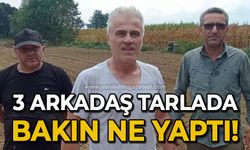 3 arkadaş bakın tarlada ne yaptı: Mükemmel girişimcilik!