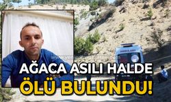 Ağaca asılı halde ölü bulundu