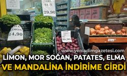 Limon, Mor Soğan, Patates, Mandalina, Elma indirime girdi