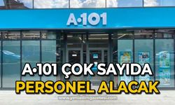 A•101 çok sayıda personel alacak