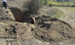 Definecilerin kazdığı çukura düşen yavru ayı kurtarıldı