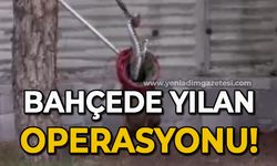 Bahçede yılan operasyonu