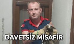 Davetsiz misafir