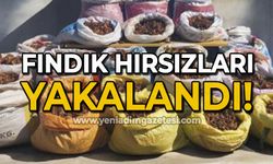 Fındık hırsızları kıskıvrak yakalandı