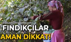 Fındıkçılar aman dikkat!