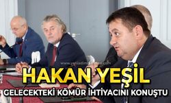 Hakan Yeşil Türkiye'nin gelecekteki kömür ihtiyacını konuştu