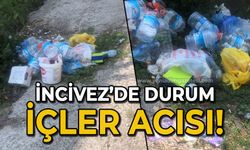 İncivez'de durum içler acısı: Vatandaşlar çileden, fareler deliğinden çıktı!