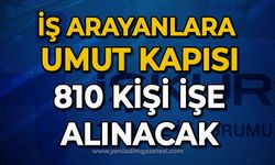 İş arayanlara umut kapısı: 810 kişi işe alınacak