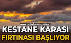 Kestane karası fırtınası başlıyor