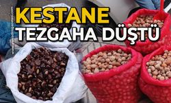 Kestane tezgaha düştü