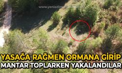 Yasağa rağmen mantar toplamak için ormana girenler dronla tespit edildi