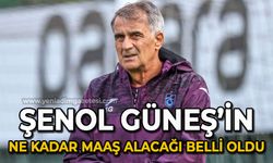 Trabzonspor Teknik Direktörü Şenol Güneş'in ne kadar maaş alacağı belli oldu