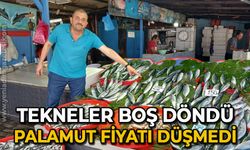 Tekneler boş döndü: Palamut fiyatı düşmedi