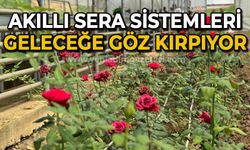 Akıllı sera sistemleri geleceğe göz kırpıyor