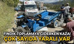 Fındık toplamaya giderken kaza: Çok sayıda yaralı var!