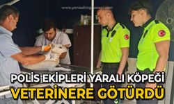 Polis ekipleri yaralı köpeği veterinere götürdü