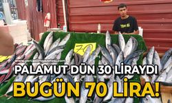 Palamut dün 30, Bugün 70 Lira