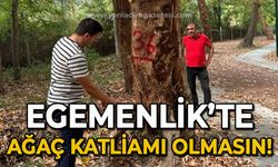 Egemenlik'te ağaç katliamı olmasın!