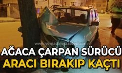 Ağaca çarpan aracın sürücüsü, aracını bırakıp kaçtı