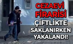 Cezaevi firarisi çiftlikte saklanırken yakalandı!