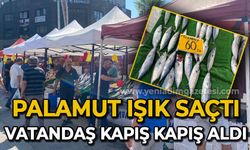 Palamut ışık saçtı: Vatandaş kapış kapış aldı