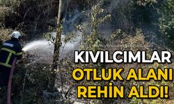 Kıvılcımlar otluk alanı rehin aldı!