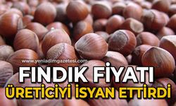 Fındık fiyatı üreticiyi isyan ettirdi