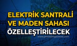 Elektrik santrali ve maden sahası özelleştirilecek