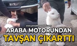 Araba motorundan tavşan çıkarttı