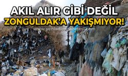 Akıl alır gibi değil: Zonguldak'a hiç yakışmıyor!