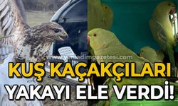 Kuş kaçakçıları yakayı ele verdi