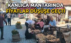 Kanlıca mantarında fiyatlar düşüşe geçti