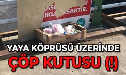 Yaya köprüsü üzerinde, Zonguldak'a yakışmayan çöp kutusu!