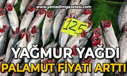 Yağmur yağdı, palamut fiyatı fırladı