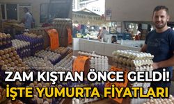 Zam kıştan önce geldi: İşte yumurta fiyatları