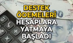 Türkiye Aile Destek Programı ödemeleri başladı