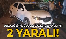 Alkollü sürücü doğalgaz kutusuna çarptı: 2 yaralı