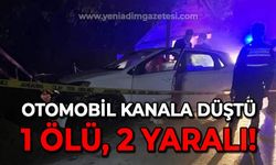 Otomobil kanala düştü: 1 ölü, 2 yaralı