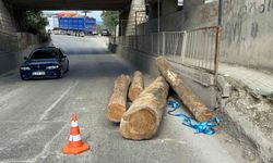 Tır alt geçitten geçerken tomrukları yola düşürdü