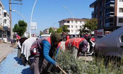 Belediye ekiplerinden yeşil dokuya özel ilgi