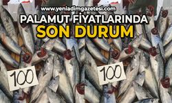 Palamut fiyatında son durum