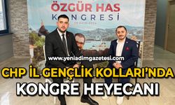 CHP İl Gençlik Kolları'nda kongre heyecanı