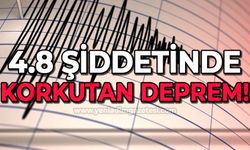 Amasra açıklarında 4,8 büyüklüğünde deprem oldu