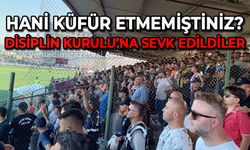 Biz demiyoruz, TFF diyor: Hani küfür etmemiştiniz?