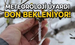 Meteoroloji Zonguldak'ı uyardı: Don bekleniyor