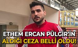 Ethem Ercan Pülgir'in aldığı ceza  belli oldu